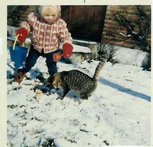 Ann og missen