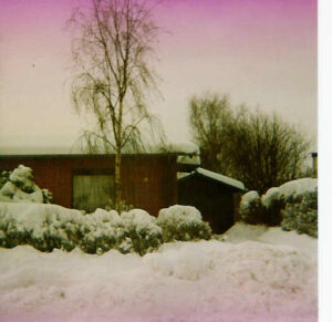 Januar 1979