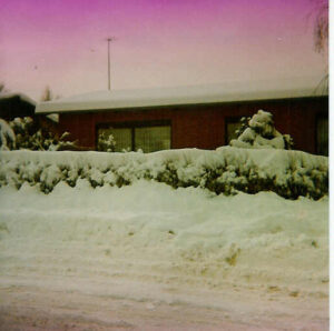 Januar 1979